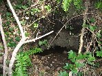 ntrada Ilice-20091230 006